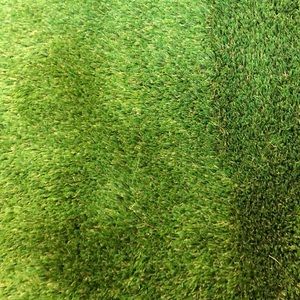 Meet your Posher, Jayla